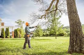 Best Root Management and Removal  in New Hope, PA